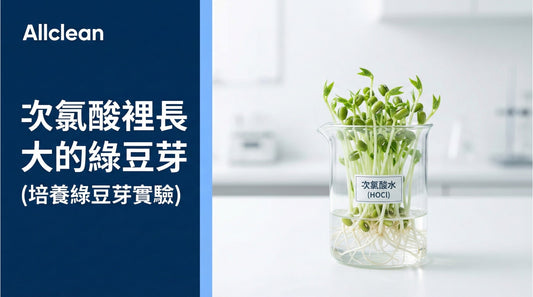 泡在次氯酸水裡長大的綠豆芽(培養綠豆芽實驗)