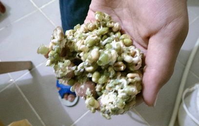 次氯酸水用途豆芽