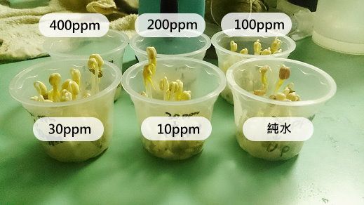 次氯酸水功效培苗